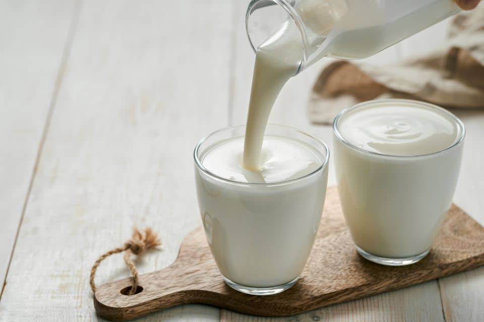 Quels sont les bienfaits du kéfir pour la santé digestive ?