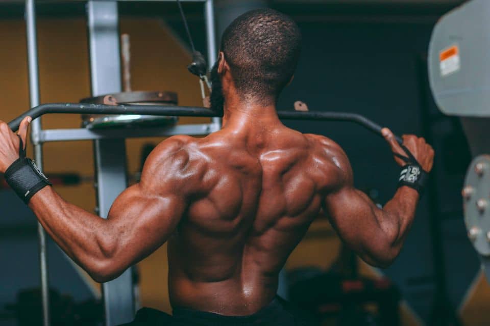 Quelle quantité de protéines par jour pour maigrir ou prendre du muscle ?
