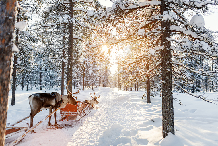 S'envoler à Laponie pour revivre l'esprit de noël toute l'année
