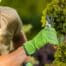 Entretien de jardin, les tâches incontournables selon les saisons !