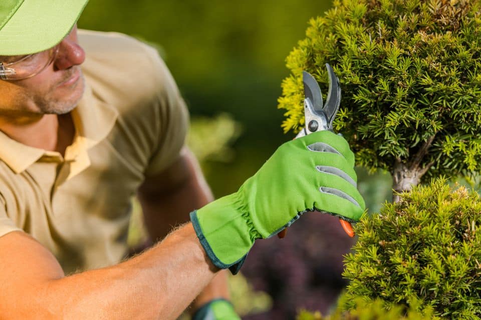 Entretien de jardin, les tâches incontournables selon les saisons !